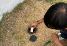 เจาะลึกระบบเหยื่อปลวก! ทำงานอย่างไร และเหตุใดจึงกำจัดได้ถึงรัง?