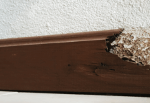 เรื่องเล่าจากทีมงานกำจัดปลวก!! บ้านไหนเจอปลวกเยอะที่สุด?