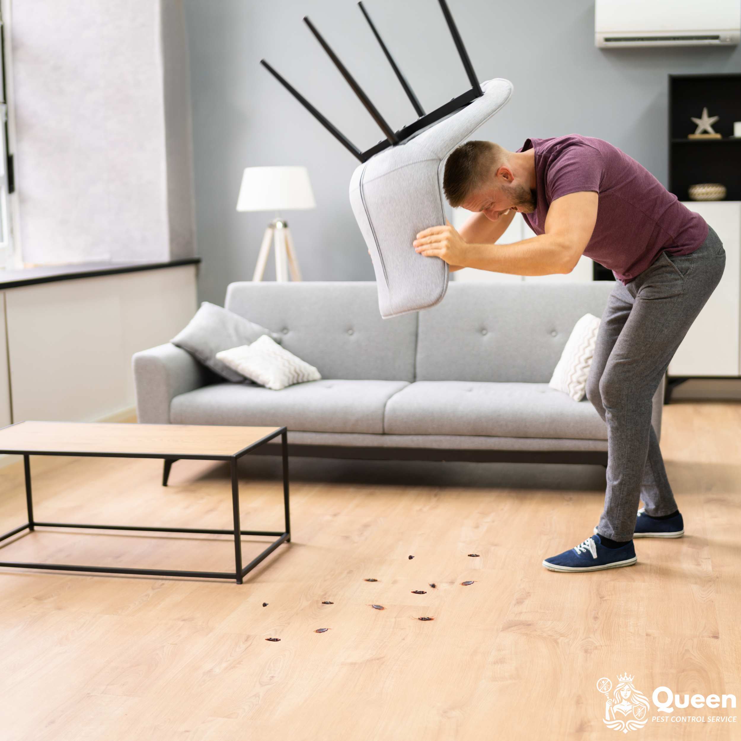 แมลงกำลังทำให้คุณหัวร้อนใช่มั้ย?