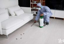 5 ข้อผิดพลาดในการทำความสะอาดที่ทำให้คุณต้องเรียกใช้ ‘บริการกำจัดแมลง’ เมื่อไหร่ควรเรียกพนักงานกำจัดปลวก