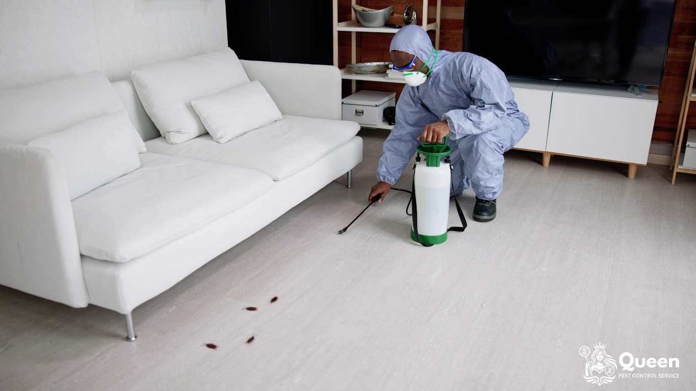 เมื่อไหร่ควรเรียกพนักงานกำจัดปลวก